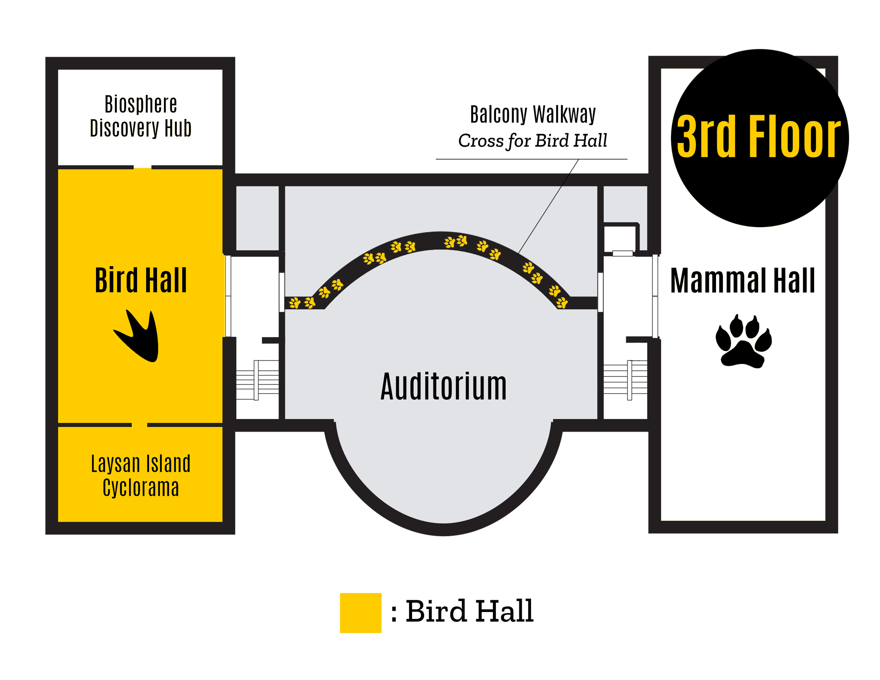 Interior Macbride Map of Hageboeck Hall of Birds