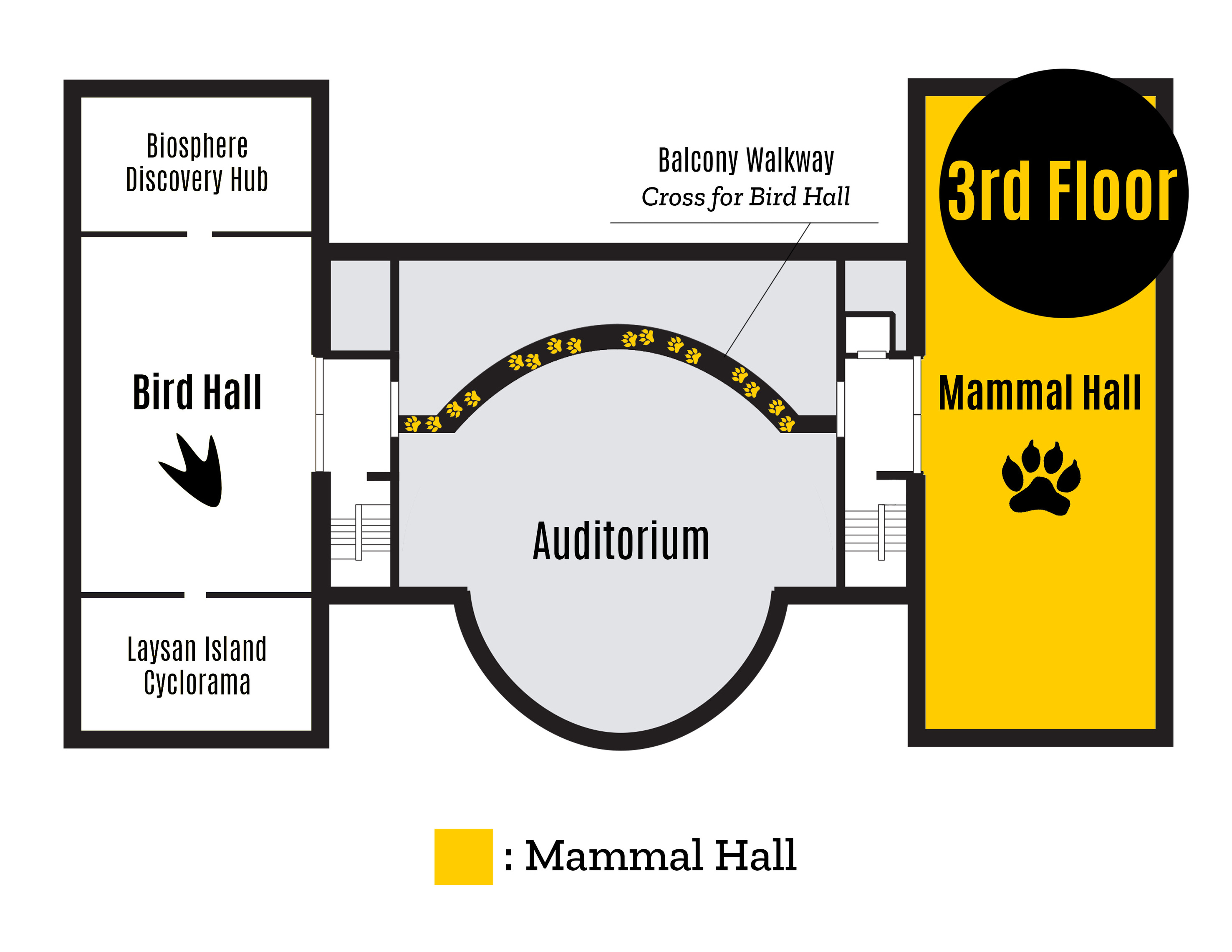 Mammal Hall/3rd Floor Macbride map
