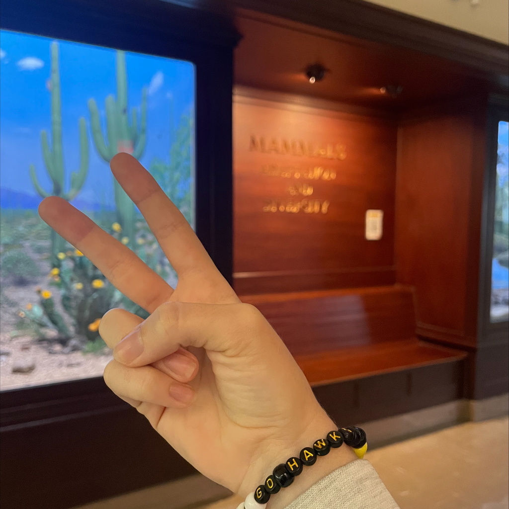 Sip and String: Museum of Natural History promotional image