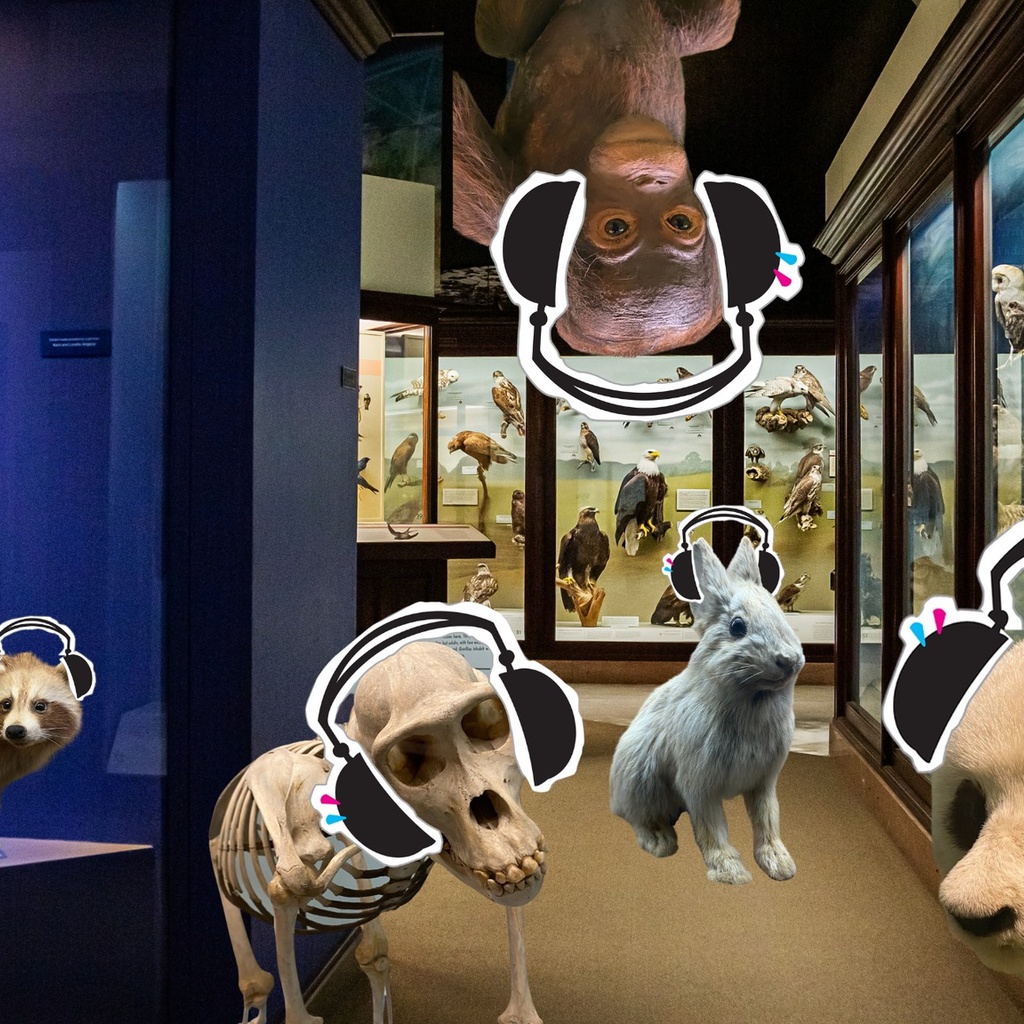 Silent Disco @ the Museum promotional image