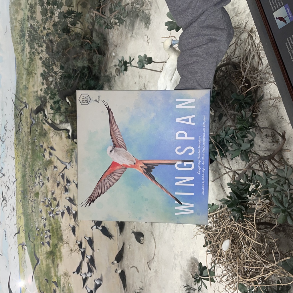 Wingspan in Bird Hall promotional image